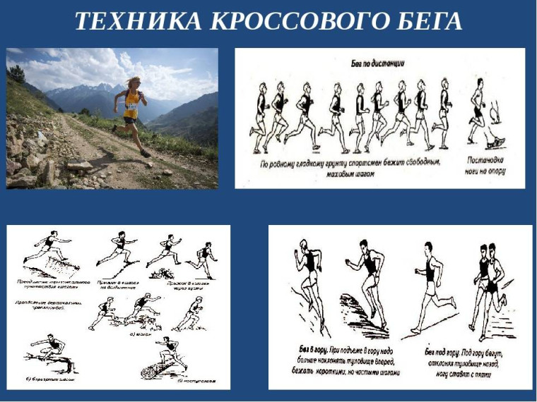 Новости ГТО.